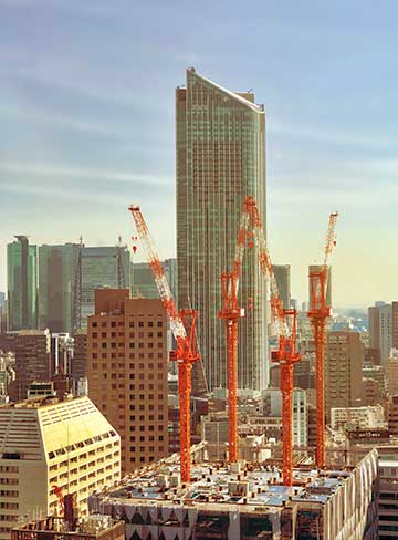 Black Mold How Dangerous is it and why should you