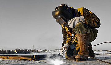 Ligula tristique quis risus urna mollis ornare